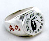 Wing Chun Ring